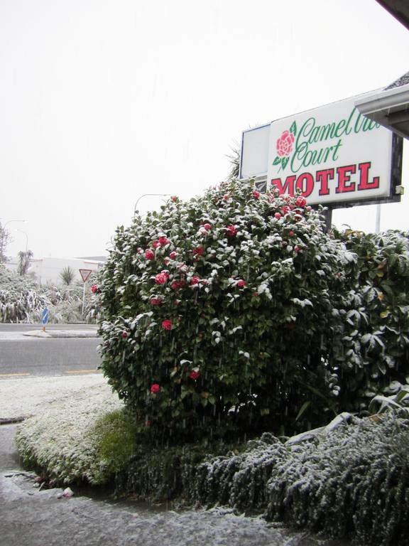 Camellia Court Motel โลเวอร์ฮัท ภายนอก รูปภาพ